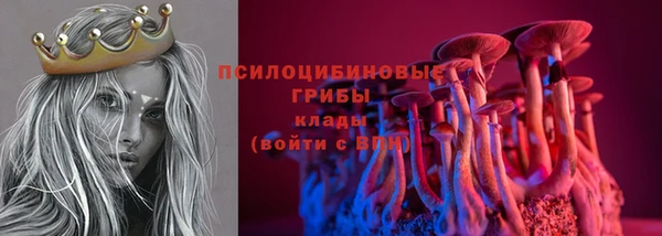 тгк Богородск
