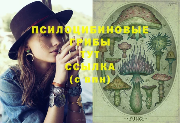 МДМА Богданович