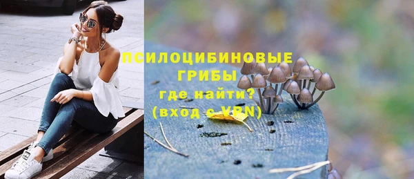 ешки Богородицк
